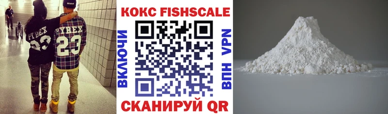 KRAKEN tor  Щучье  Кокаин Fish Scale 