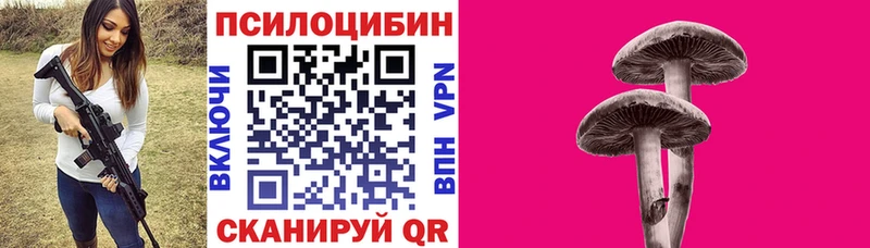 наркота  Щучье  маркетплейс состав  Галлюциногенные грибы мухоморы 