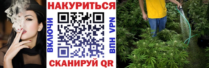 omg как зайти  сайты даркнета как зайти  Бошки Шишки White Widow  Щучье 